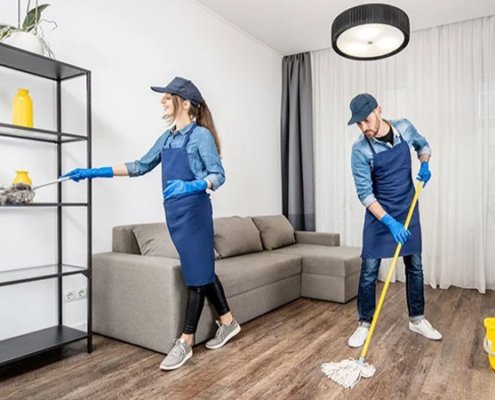 Apartment & Individual House Cleaning Services
